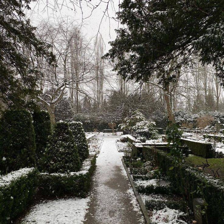 Snowy Garden Paths