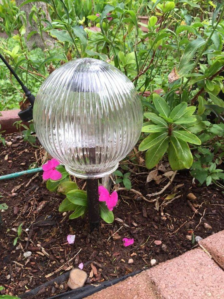 Solar-Powered Garden Lights