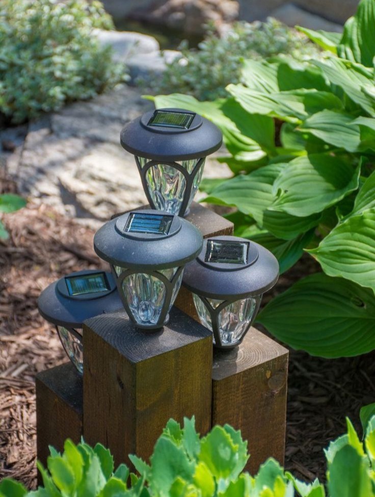 Solar-Powered Garden Lights