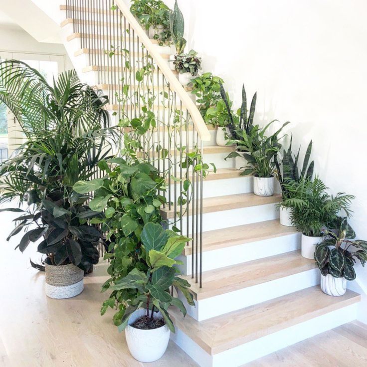 Staircase Greenery