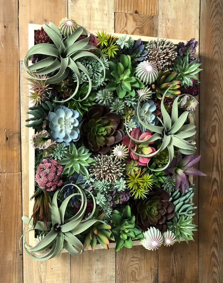 Succulent Wall Art