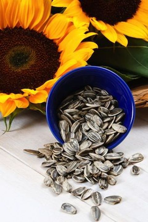 Sunflower Seeds