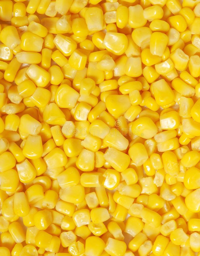 Sweet Corn