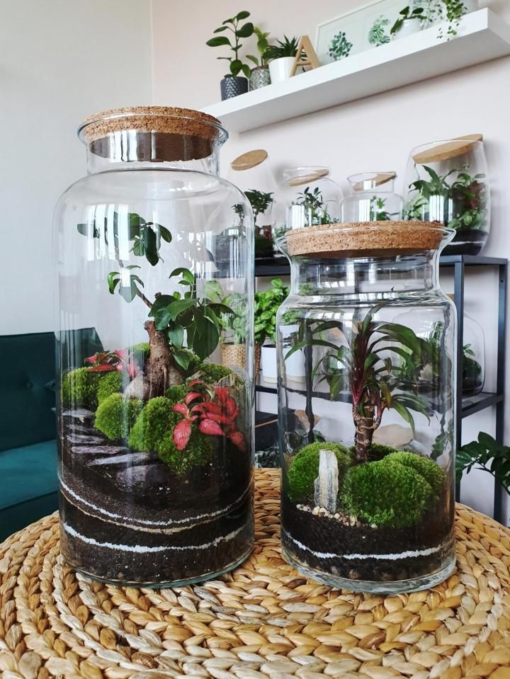 Terrarium Art Pieces