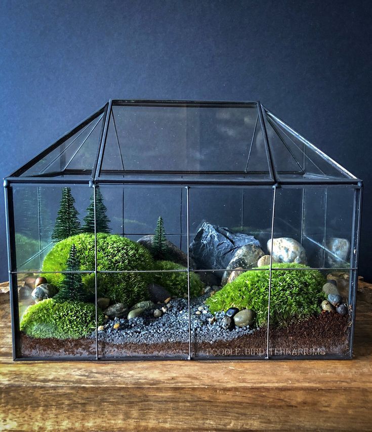 Terrariums