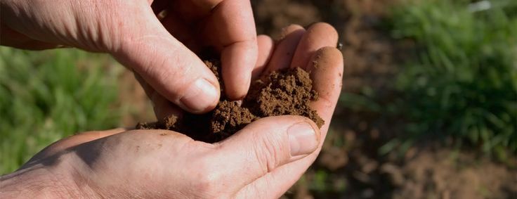 Test Your Soil