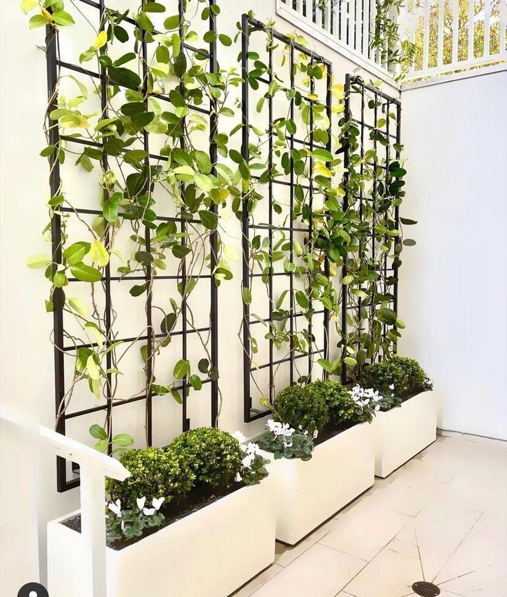 Trellis with Vines