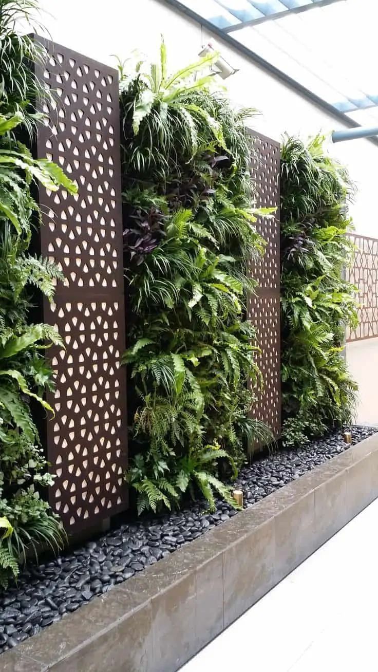 Vertical Garden Wall