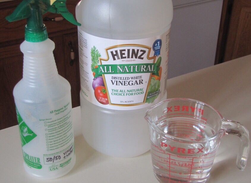 Vinegar Solution