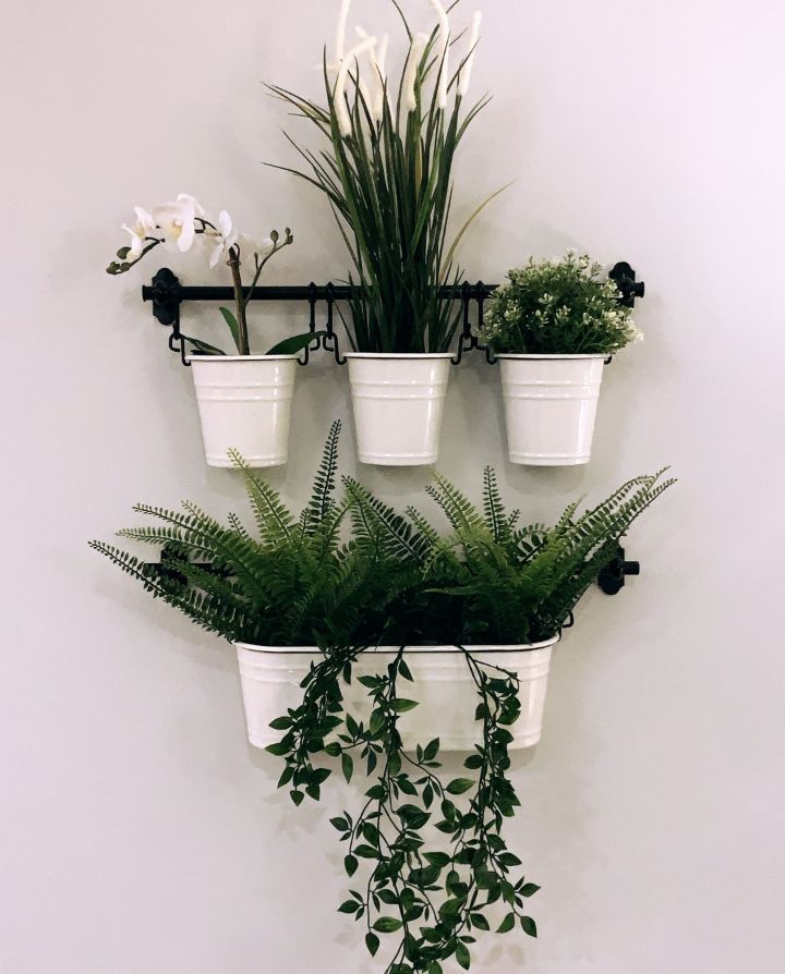 Wall-Mounted Planters