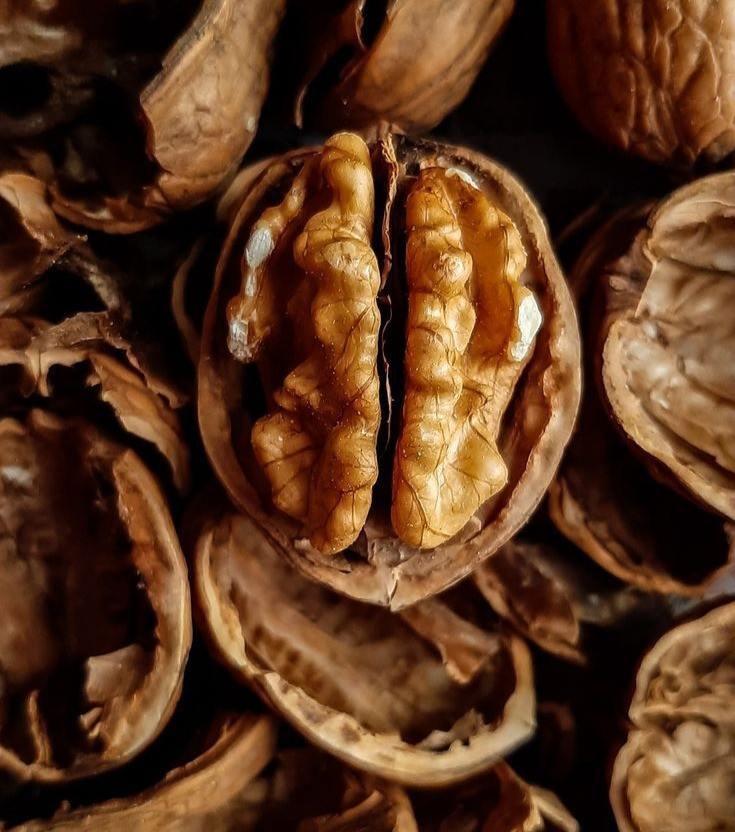 Walnuts