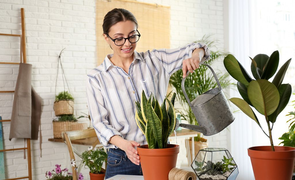 Watering Technique