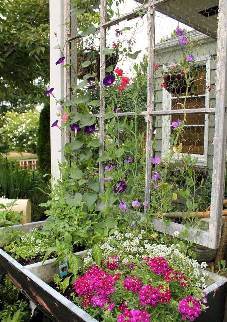 Window Frame Trellis