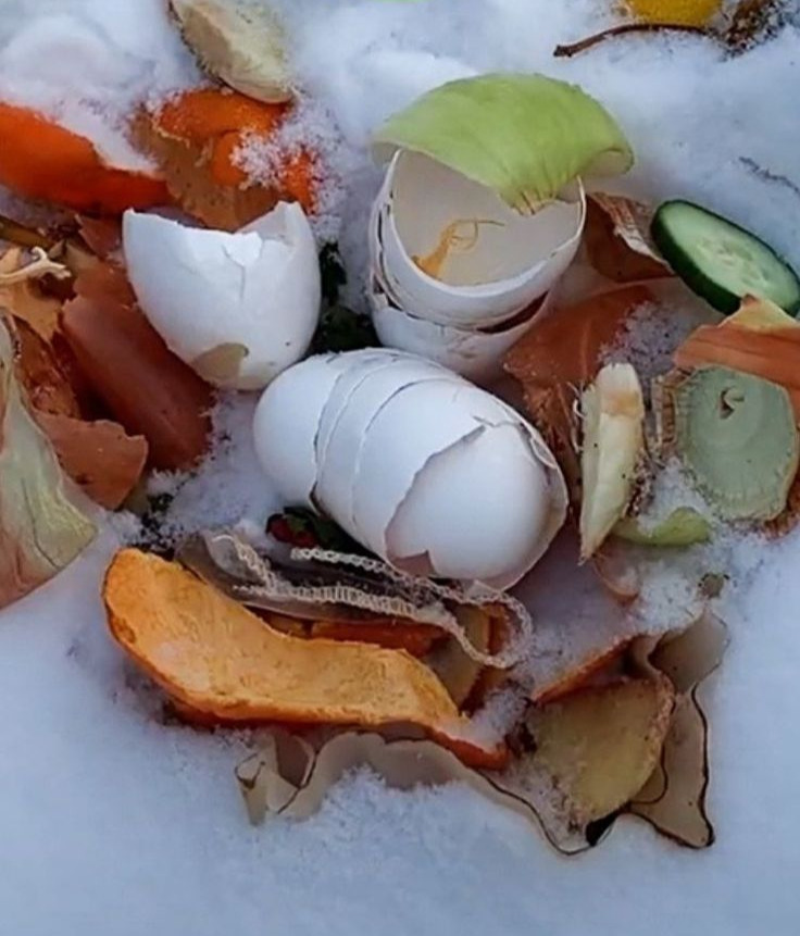 Winter Composting