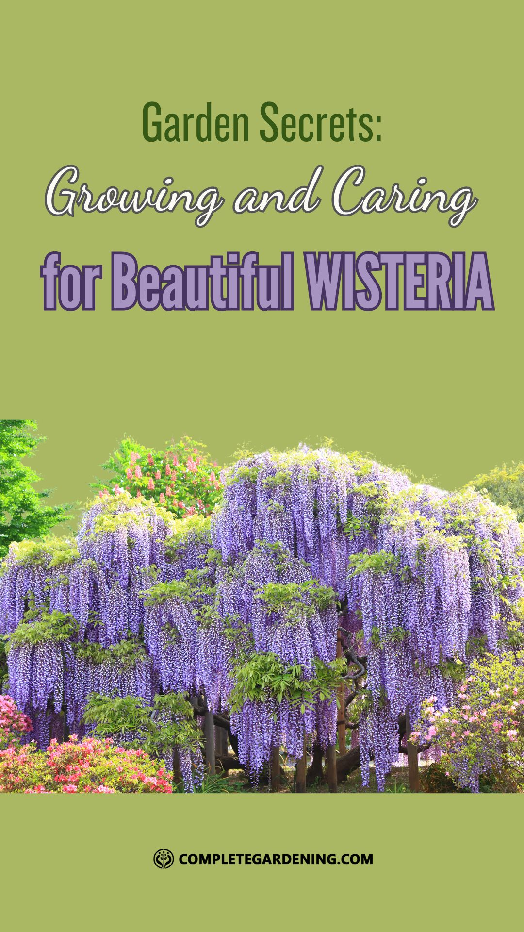 Garden Secrets Growing and Caring for Beautiful Wisteria Complete