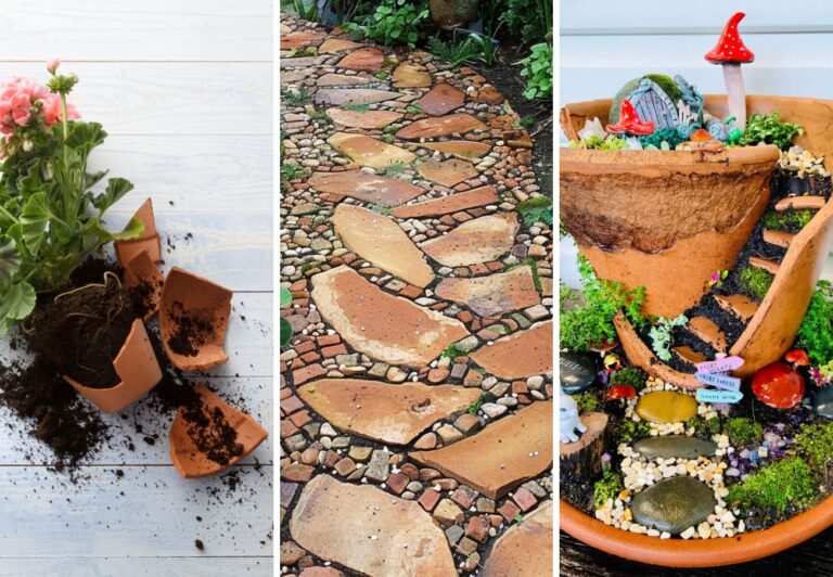 How to Turn Broken Terracotta Pots into Delightful Decor