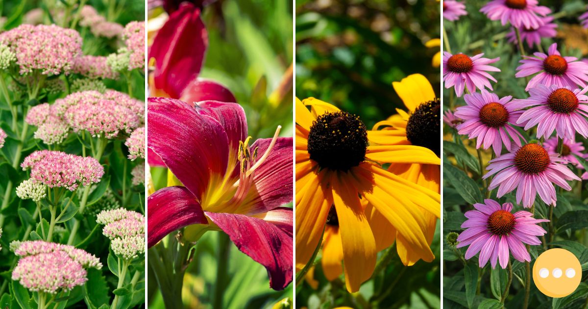 10 Low-Maintenance Perennials That Will Bloom Year After Year