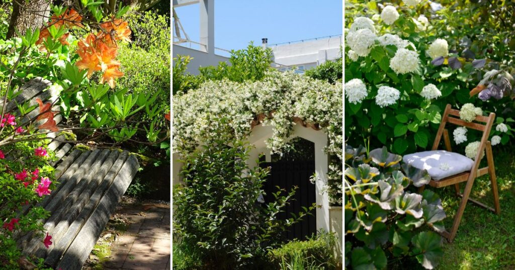 12 Stunning Climbing Plants to Create Privacy and Shade in Your Yard