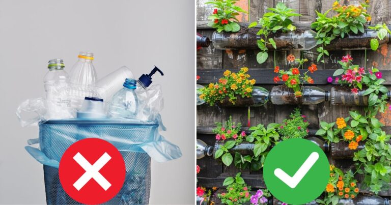 10 Clever Ways to Recycle Plastic Containers for Your Garden