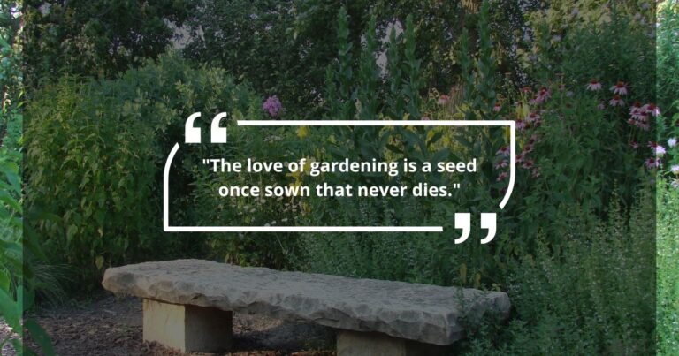 50 Inspiring Gardening Quotes to Motivate Your Green Thumb