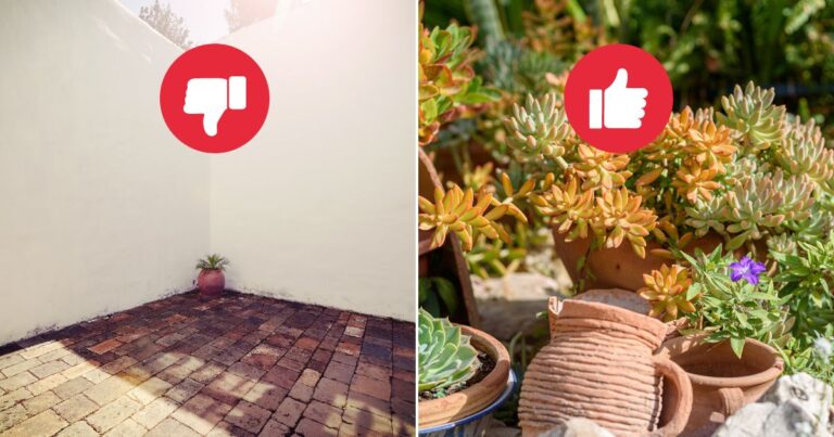 8 Clever Ways to Incorporate Succulents into Your Outdoor Landscaping