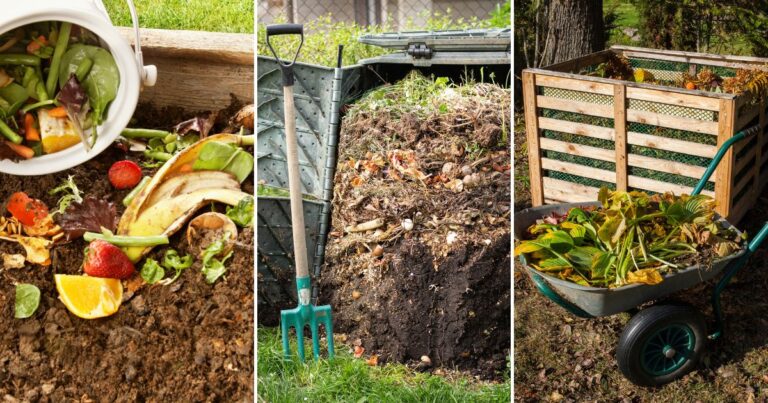 Composting Secrets: The Ultimate Guide to Perfecting Your Pile