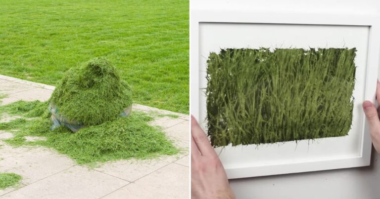 Creative Ideas for Using Grass Clippings