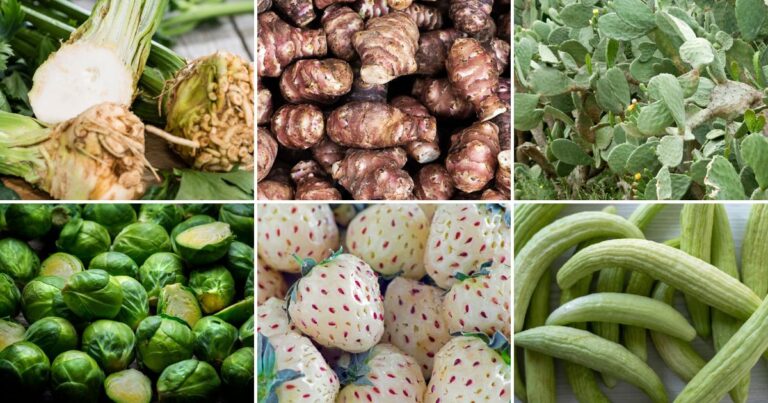 13 Unusual Vegetables You Can Easily Grow at Home