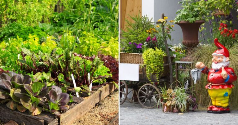 5 Key Strategies for Efficient Small Space Gardening