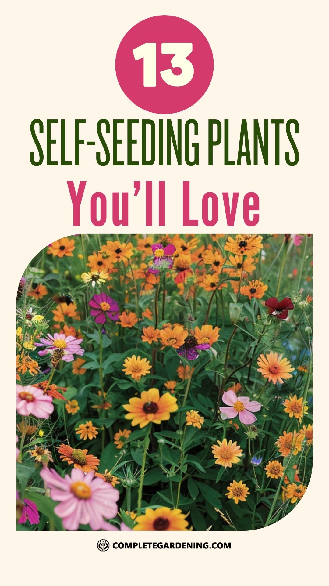 Effortless Gardening 13 SelfSeeding Plants You’ll Love Complete