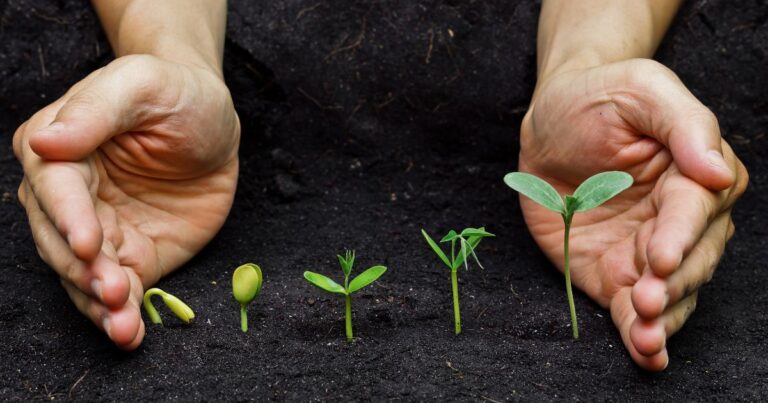 Extend Your Growing Season: 5 Easy Tips