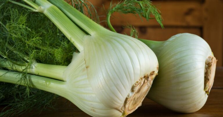 Fennel: The Unexpected Benefits of a Garden Villain!