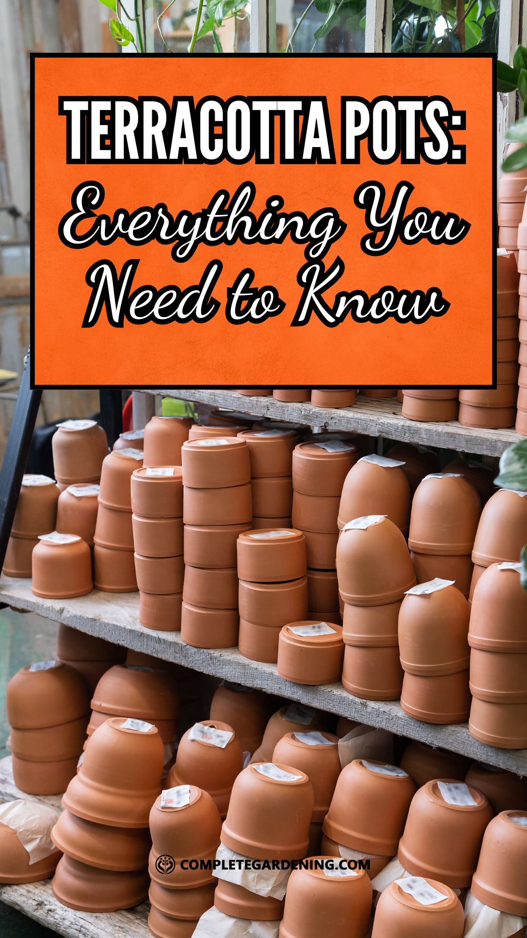 Terracotta Pots Everything You Need to Know Complete Gardening