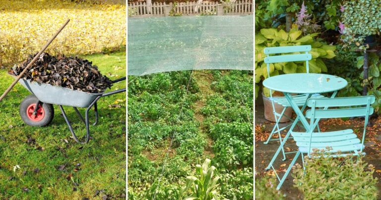 10 Gardening Errors to Fix This Fall
