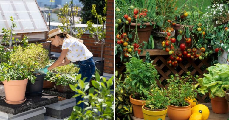 30 Pot-Friendly Veggies, Fruits, and Herbs You Need
