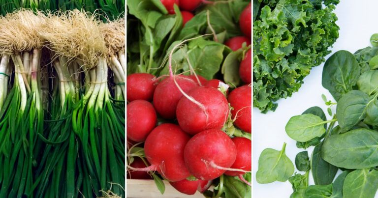 7 Fast Indoor Veggies: Ready in a Month