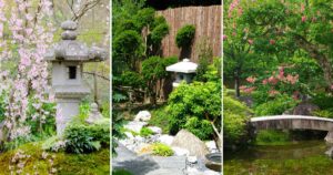 7 Steps To Create A Japanese Garden