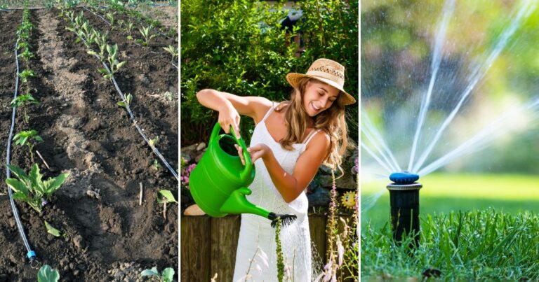 Best Watering Gear: Gardeners’ Top Picks