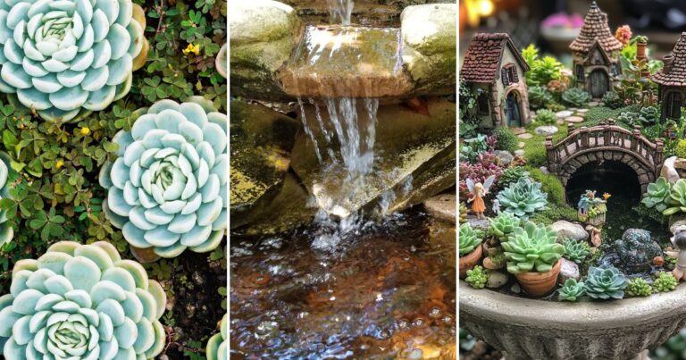 Convert Your Fountain into a Succulent Oasis