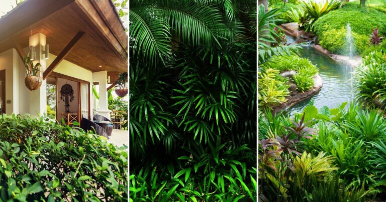 Tropical Vibes: 15 Big Leaf Plants to Enrich Your Garden
