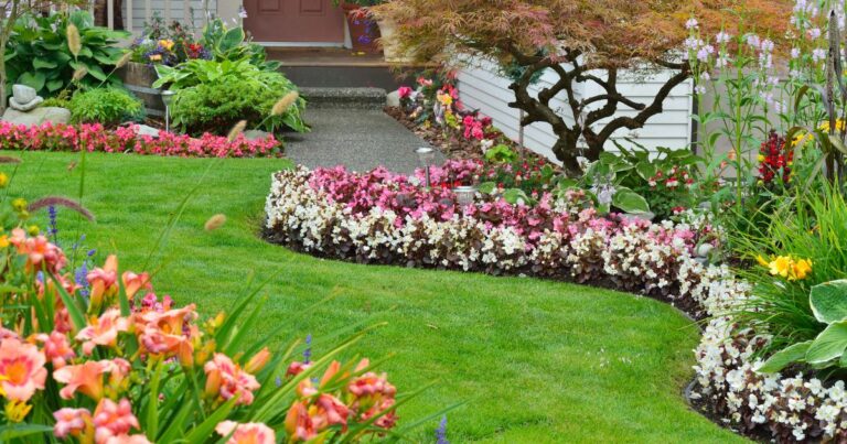 12 Essential Low-Growing Perennials for Garden Edges