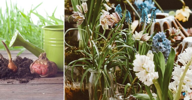 7 Fall-Planted Bulbs That Are Way Cooler Than Daffodils or Tulips