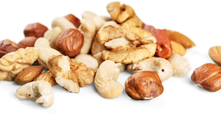 Autumn’s Wild Harvest: 15 Nuts to Gather in Fall