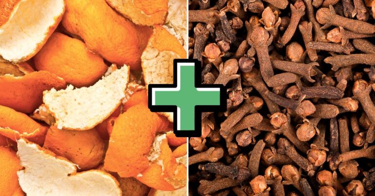 Boiling Orange Peels with Cloves: A Simple Trick with 9 Big Benefits