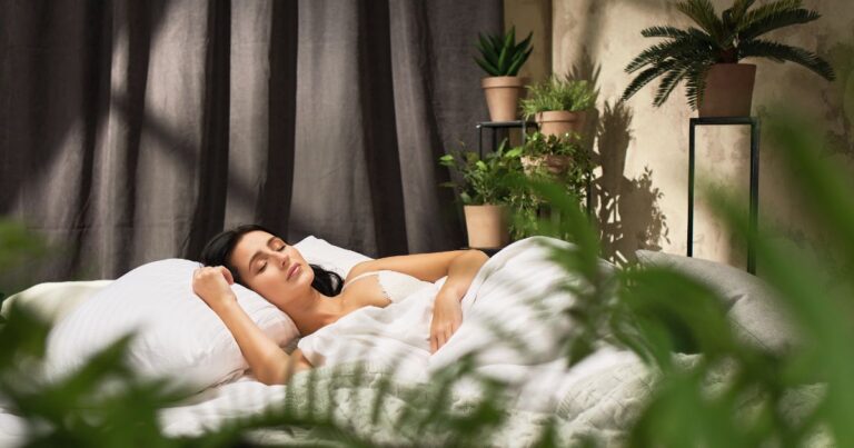 Can These 14 Plants Really Help You Sleep Better? Discover the Secret!
