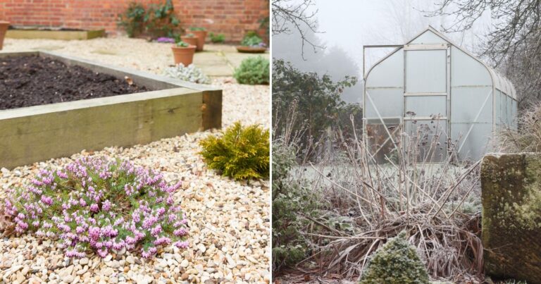 Can You Garden in Winter? Check Out These 10 Unique Projects