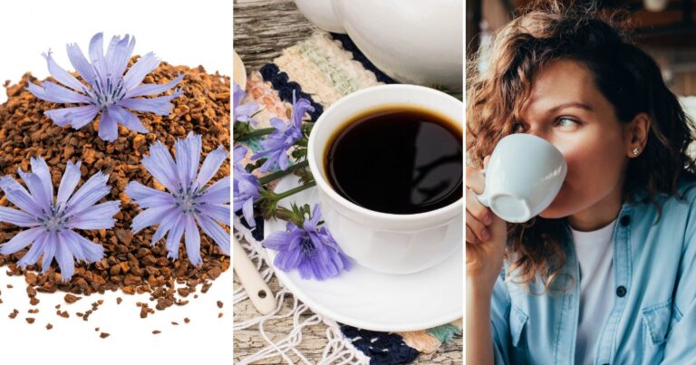 Chicory Coffee from Scratch: Could This Be the Richest Cup You’ll Ever Taste?