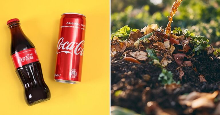 Coca Cola Might Be the Secret Weapon Your Garden Needs