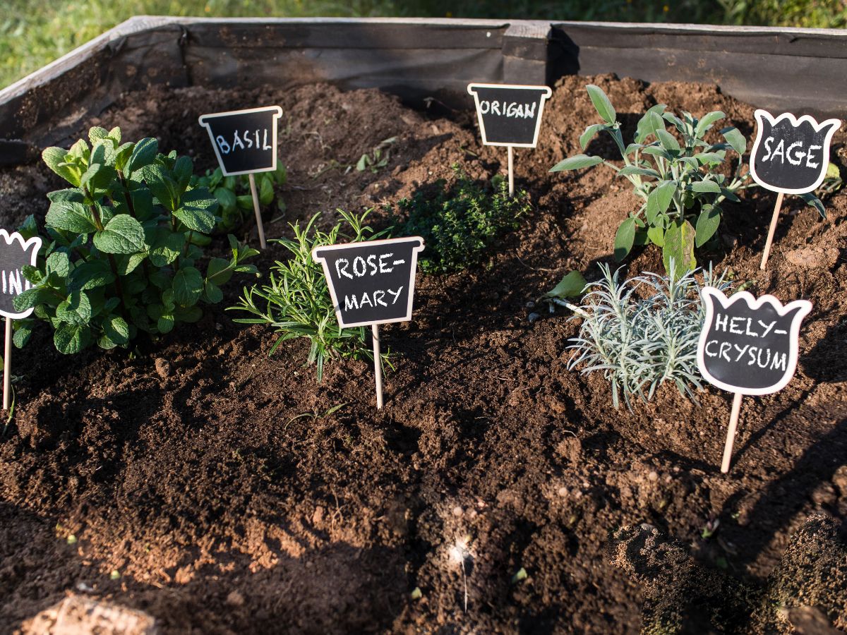 28 Easy and Creative DIY Ideas to Transform Your Garden - Complete ...