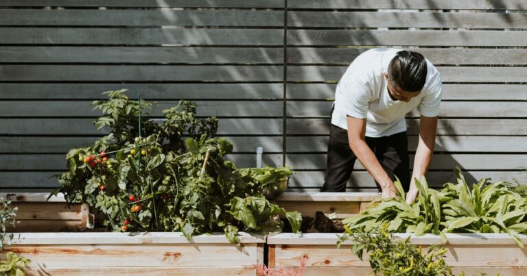 Gardening in a Rental: Creative Ways to Grow Your Own Green Space